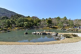 花園,鵝卵石,景觀