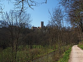 reichenstein 城堡,城堡,reichenstein