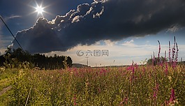 景觀,性質(zhì),草地