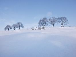 雪,冬天,景觀