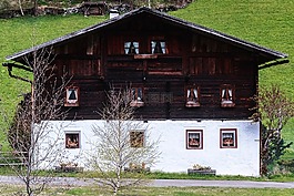 首頁,農(nóng)家,建設(shè)