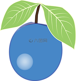 漿果,藍(lán)莓