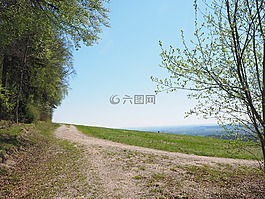 字段,報(bào)告,森林
