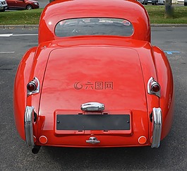 汽車集合,紅色車身,樹干