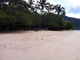 象島,海灘,熱帶