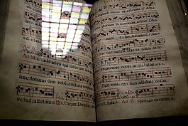 書,鳴禽,音樂書
