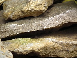 石頭,材料,性質(zhì)