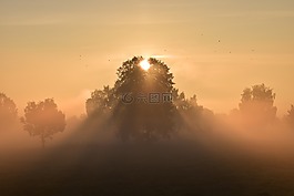 太阳,日出,morgenrot