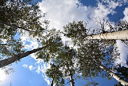 土耳其,天然土耳其,自然景观