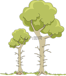 枝杈,切,自然