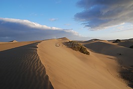 沙漠,砂,沙丘