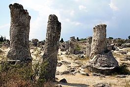pobiti kamuni,森林,石