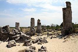 pobiti kamuni,森林,石