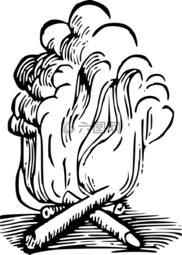 燃烧,篝火,火