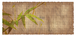 紙,羊皮紙,紙張類型