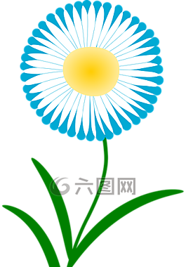 花,禮物,自然