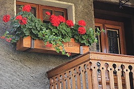 小屋,阳台,房子