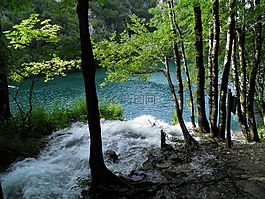 湖,水,樹