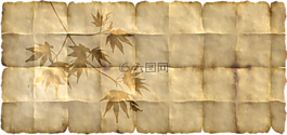 紙,羊皮紙,楓葉