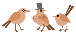 鳥,鳥類,動物