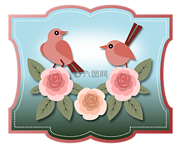 鳥,鳥類,動物
