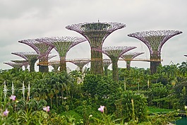 新加坡,公園,景觀
