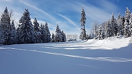 雪,冬季,冷