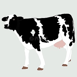 牛,動物,農場動物