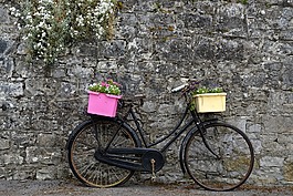 自行車(chē),輪,鮮花