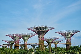 新加坡,公園,景觀