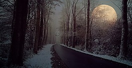 道路,大道,冬天