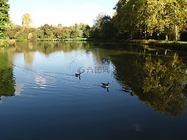 性質(zhì),更多,夏季