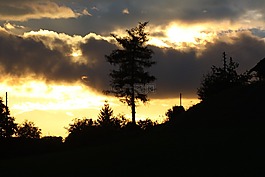 morgenstimmung,太陽,景觀