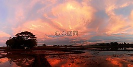 早晨,農村,景觀