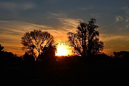 日落,太阳,景观