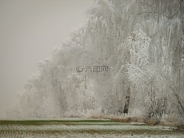 冬天,雪,寒冬