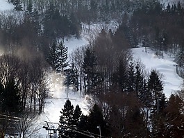 滑雪坡,雪,樹