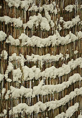 雪,結(jié)構(gòu),模式