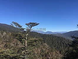 樹,山,風(fēng)景