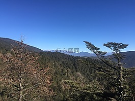 樹,山,風(fēng)景