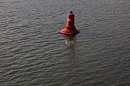 河,海鷗,大自然