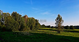 景觀,字段,草甸