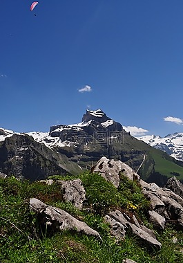 首腦會議,瑞士,高山
