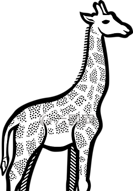 長頸鹿,動物,野生動物園