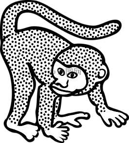 猴子,動(dòng)物,猿