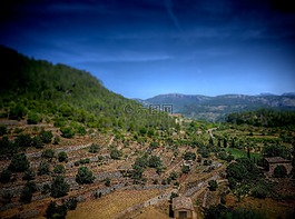 馬洛卡,景觀,山