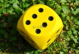 多維數(shù)據(jù)集,播放,黃色
