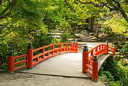 桥,宫岛,行人天桥