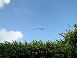 天空,藍(lán)色,云