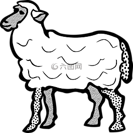 動(dòng)物,農(nóng)場(chǎng),羊